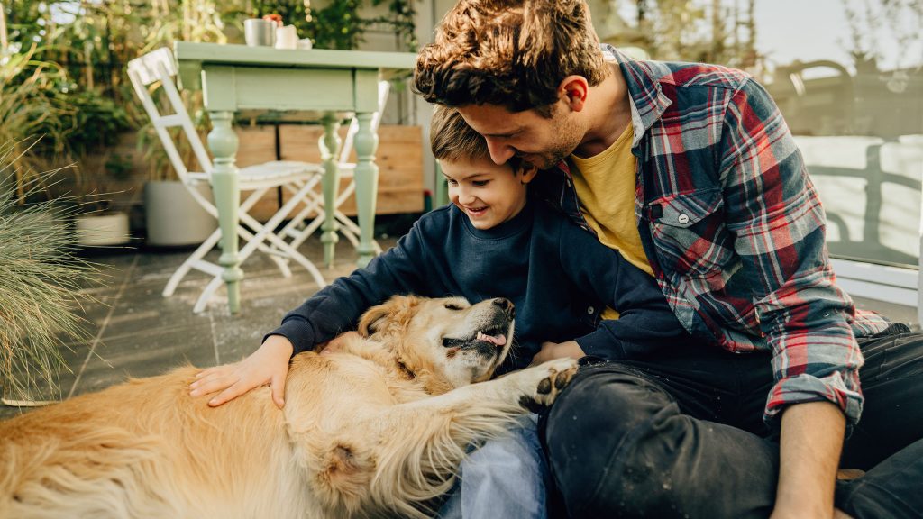 Your dog, cat or other animal is permitted in your strata property in NSW